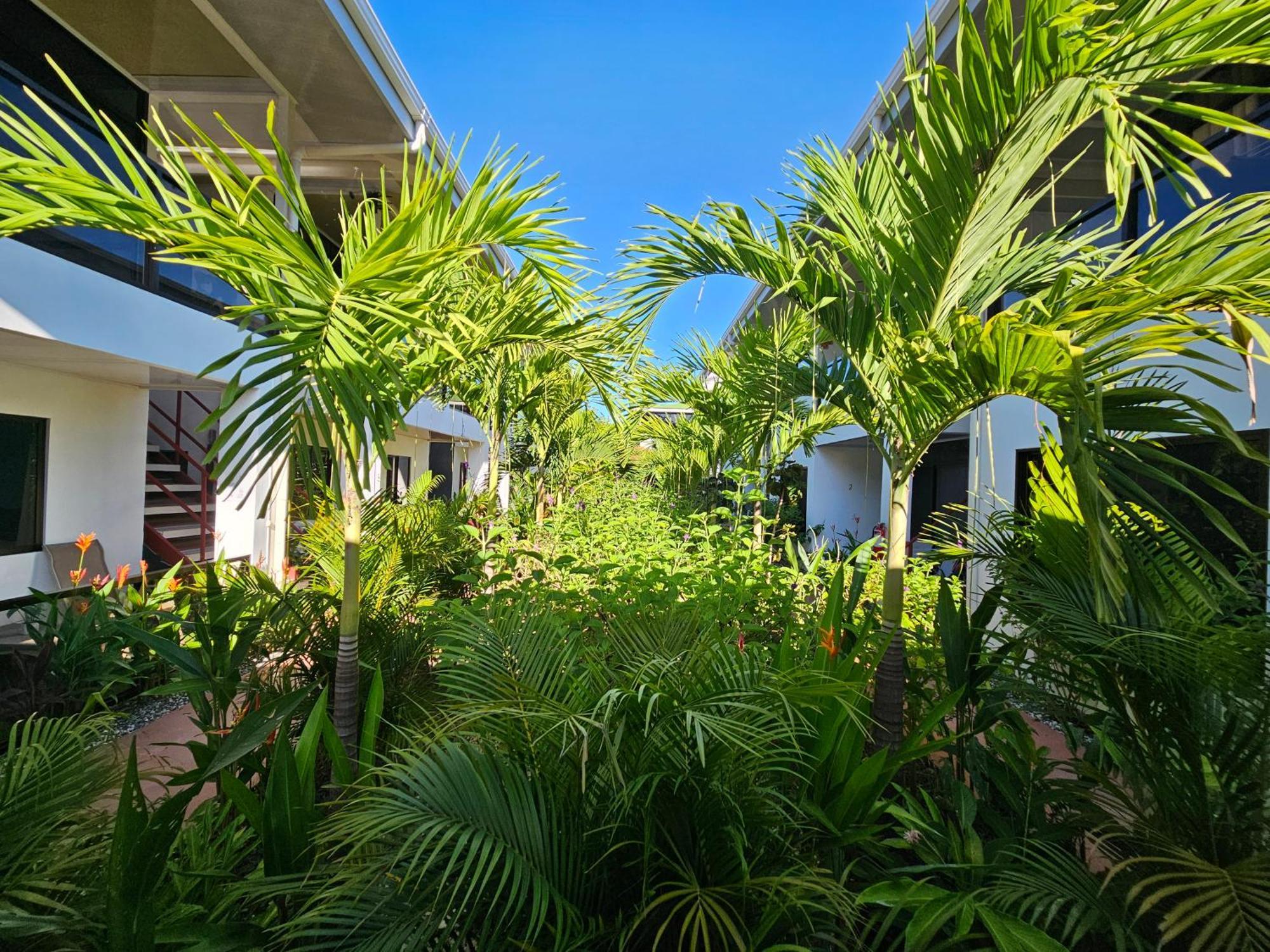 Ballena Rey Hotel Увита Экстерьер фото