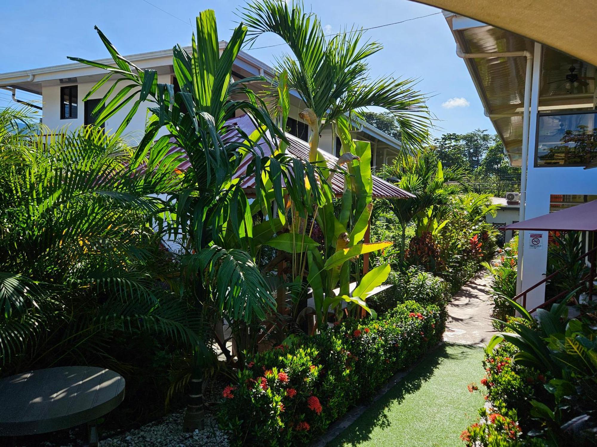 Ballena Rey Hotel Увита Экстерьер фото